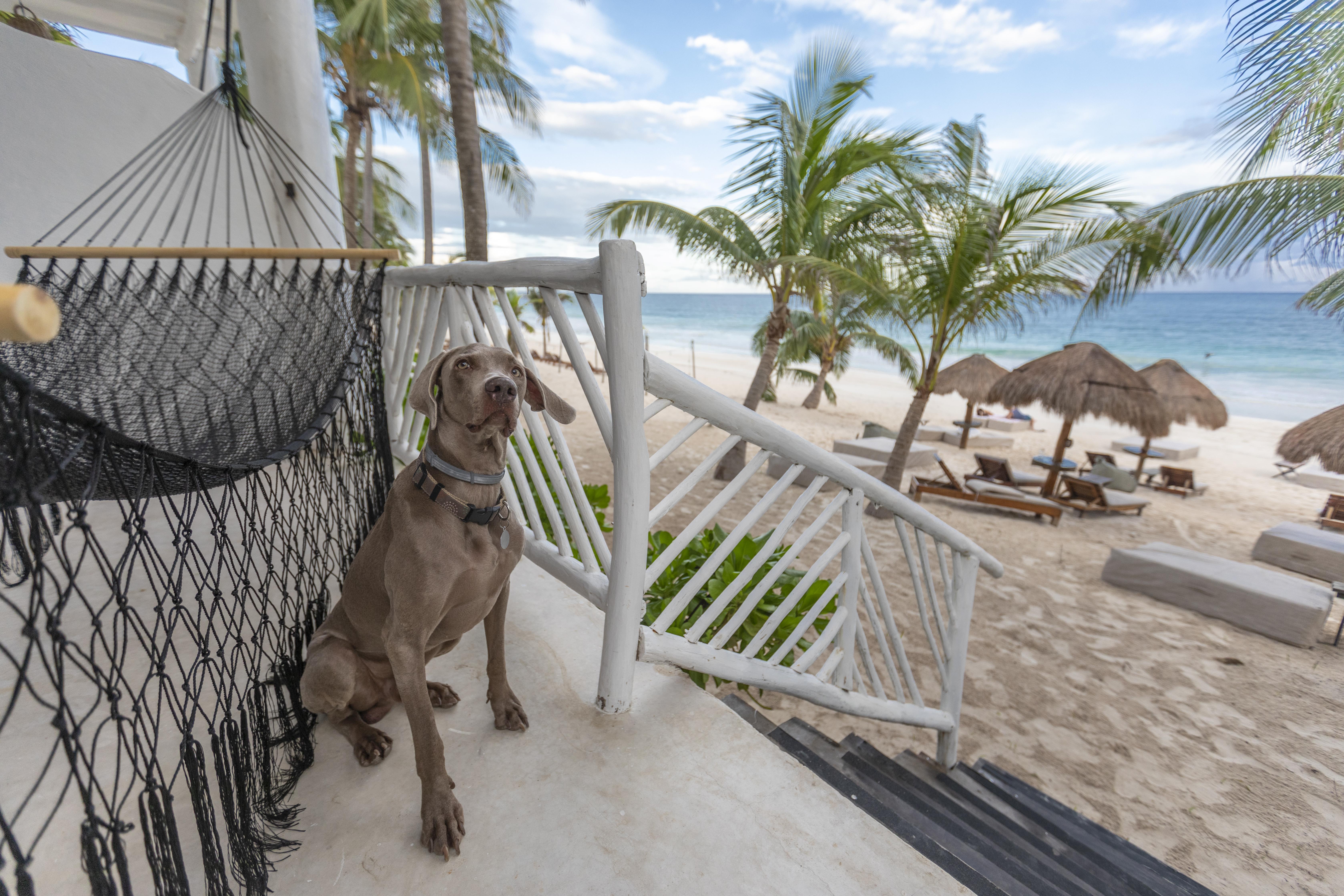 Los Amigos Beach Hotel Boutique Tulum Exterior photo